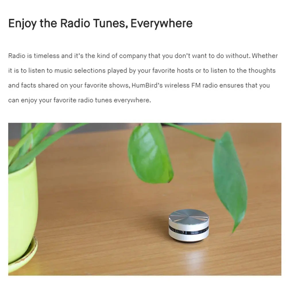 Draadloos Bt Speaker Bot Geleiding Speakers Mini Draagbare Luid Stereogeluid Ingebouwde Mic Klankkast Draagbaar Audio Apparaat
